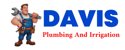 Trusted plumber in DONALDS